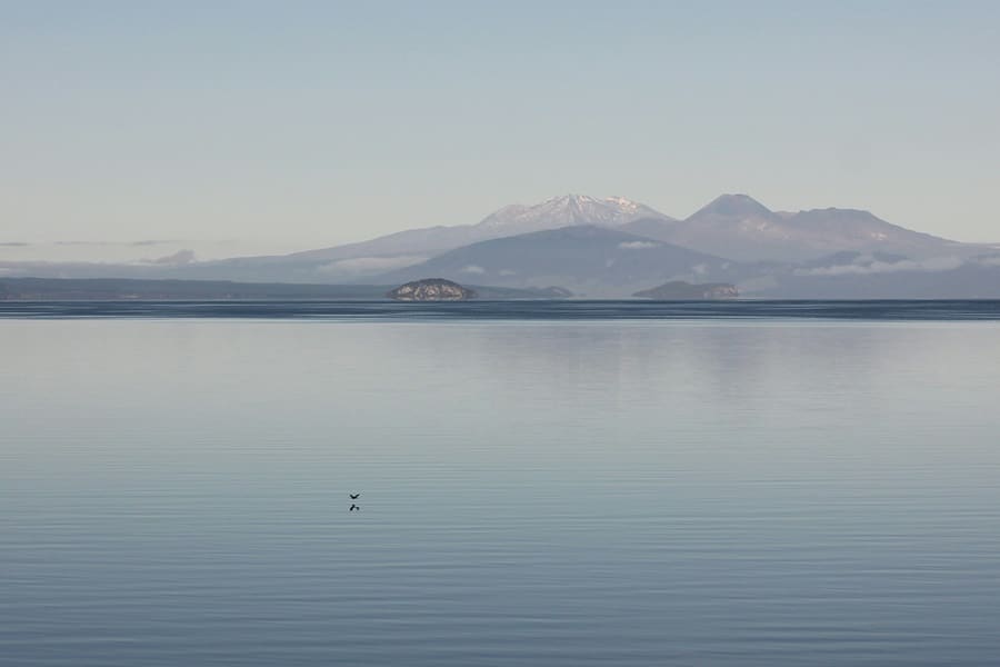 Taupo